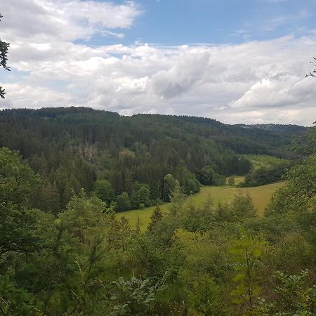 Altes Schreiner Haus In Der Vulkaneifel Brockscheid Exterior foto